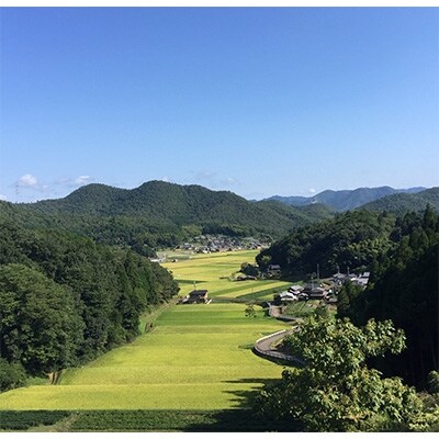 2021年8月発送開始『定期便』毎月お届け!　純粋丹波こしひかり・きぬひかり食べくらべ全3回