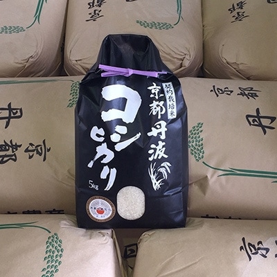 2020年12月発送開始『定期便』毎月お届け!純粋 丹波こしひかり100% 5kg全6回