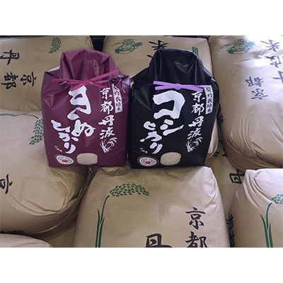 2022年1月発送開始『定期便』毎月お届け!純粋丹波こしひかり・きぬひかり食べくらべ 全3回