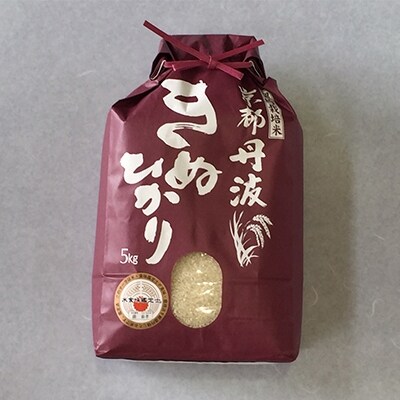 2022年3月発送開始『定期便』毎月お届け!純粋 丹波きぬひかり100% 5kg 全12回