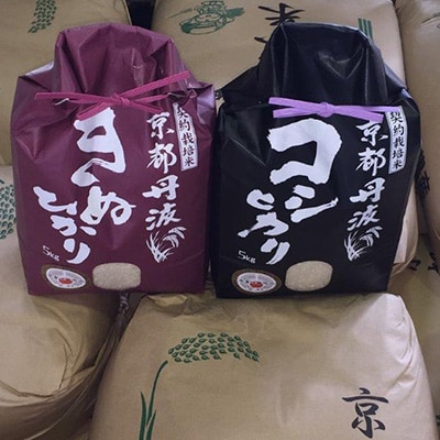 2023年10月発送開始『定期便』純粋 丹波こしひかり・きぬひかり　食べ比べセット　全3回
