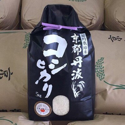 2024年5月発送開始『定期便』純粋 丹波こしひかり100% 5kg全6回