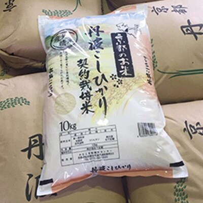 2024年6月発送開始『定期便』純粋 丹波こしひかり100% 10kg全3回