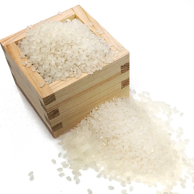 【令和4年産】南丹そだち　無洗米きぬひかり　真空パック2kg×5個(合計10kg)