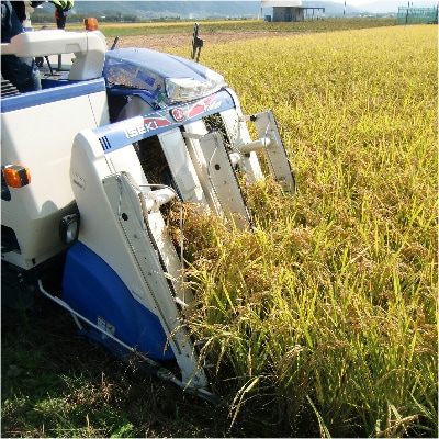 【令和4年産】南丹そだち　無洗米きぬひかり　真空パック2kg×5個(合計10kg)