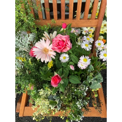 季節の花寄せ植え(バイオエコロジー堆肥使用)　&　南丹市八木町のお米こしひかり10キロ