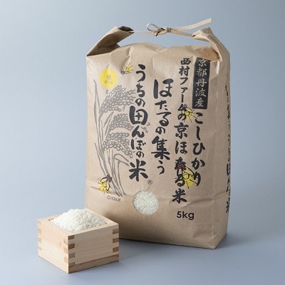 京都丹波産こしひかり　西村ファームの京ほたる米　5kg　精米[高島屋選定品]011N284