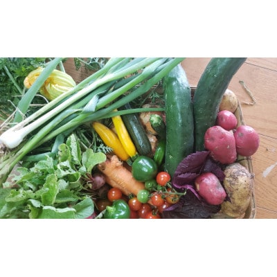 美山のかやぶき京野菜セット