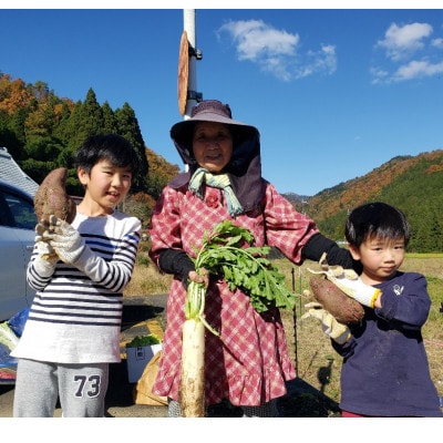 美山のかやぶき京野菜セット