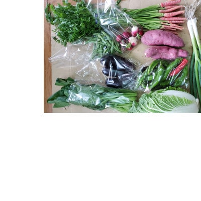 美山のかやぶき京野菜セット