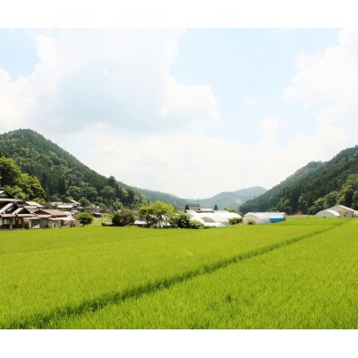 京丹波高原豚GPロース焼肉用700g[高島屋選定品]011N423