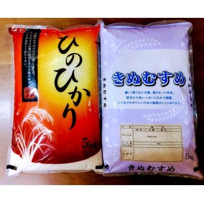 施肥技術指導員監修　京都府産ヒノヒカリ・きぬむすめ　食べ比べ5kg×2品種　計10kg