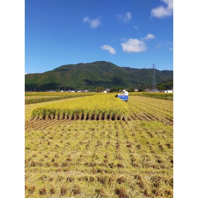 施肥技術指導員監修　京都府産コシヒカリ・ヒノヒカリ　食べ比べ5kg×2品種計10kg「高島屋選定品」