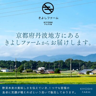 産直!京野菜おまかせセットM 野菜詰め合わせ 新鮮