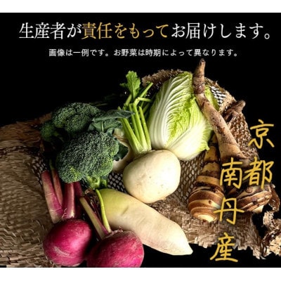 産直!京野菜おまかせセットL 野菜詰め合わせ 新鮮