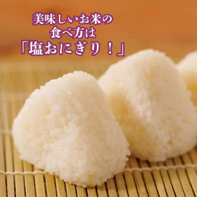 【令和6年産米】京都府産こしひかり10kg(5kg×2袋)農家直送 出荷日に合わせて精米