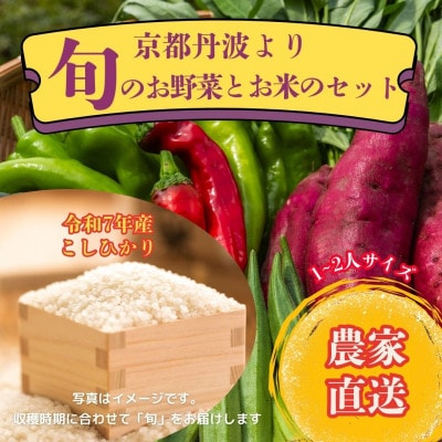 【京都丹波より旬をお届け】朝採れお任せ季節の京野菜&お米2キロセット～農家直送～