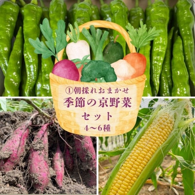 【京都丹波より旬をお届け】朝採れお任せ季節の京野菜&お米2キロセット～農家直送～