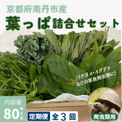 【毎月定期便】爬虫類用 季節の葉っぱ詰め合わせ 80サイズ全3回
