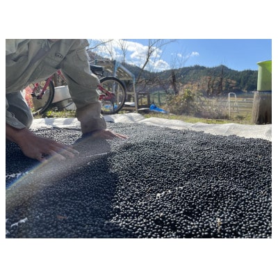 黒千石大豆の黒豆茶ティーバッグセット(栽培期間中農薬不使用)[(3g×20袋)×2パック]