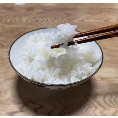 【令和7年産】京都丹波産『天日干し』ササニシキ5kg 白米(栽培期間中農薬不使用)