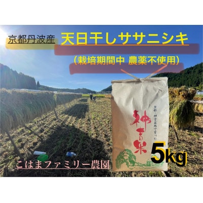 【令和7年産】京都丹波産『天日干し』ササニシキ5kg 玄米(栽培期間中農薬不使用)