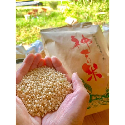 【令和7年産】京都丹波産 コシヒカリ 10kg 玄米(栽培期間中農薬不使用)