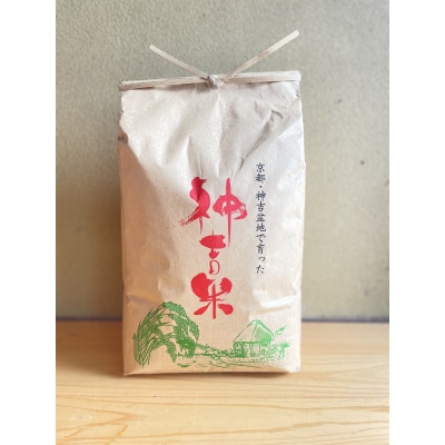 【令和7年産】京都丹波産 コシヒカリ 10kg 玄米(栽培期間中農薬不使用)