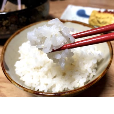 【令和7年産】京都丹波産 コシヒカリ 10kg 白米(栽培期間中農薬不使用)