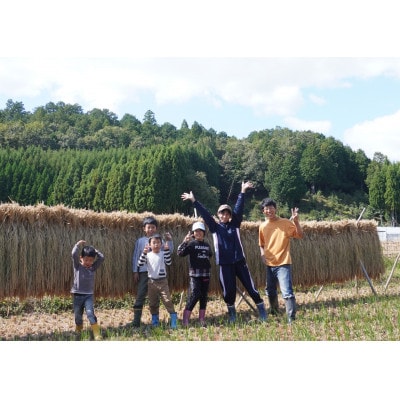 【さとふる限定】京都丹波産天日干しササニシキ玄米(栽培期間中農薬不使用) 5kg
