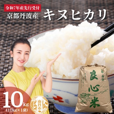 【2025年11月以降順次発送】 令和7年産 新米予約 キヌヒカリ 10kg 京都丹波産