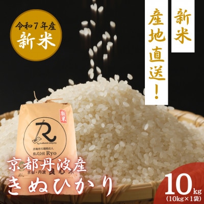 【2025年11月以降順次発送】 令和7年産 新米予約 キヌヒカリ 10kg 京都丹波産