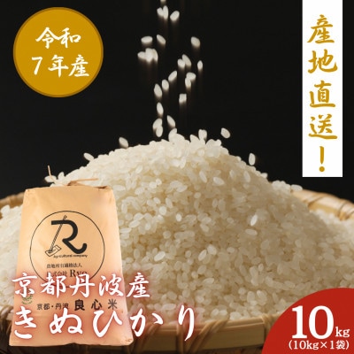 令和7年産 キヌヒカリ 精米 10kg 京都丹波産
