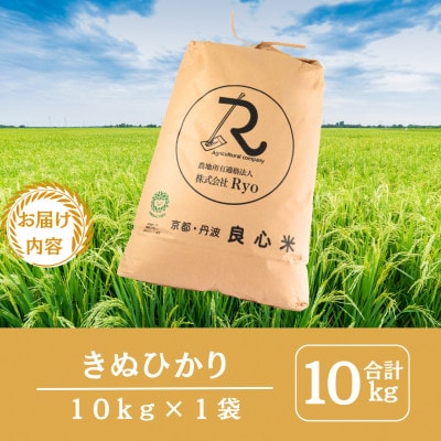 令和7年産 キヌヒカリ 精米 10kg 京都丹波産