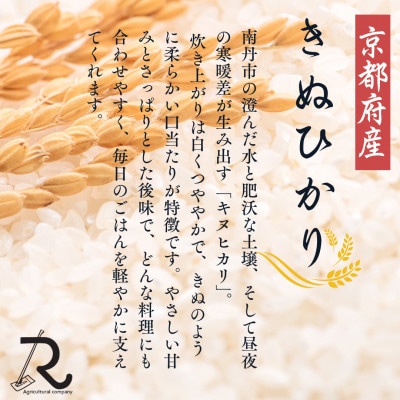 令和7年産 キヌヒカリ 精米 10kg 京都丹波産