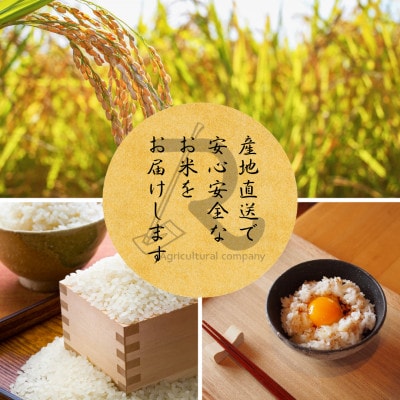 【2025年11月以降順次発送】 令和7年産 新米予約 にじのきらめき 10kg 京都丹波産