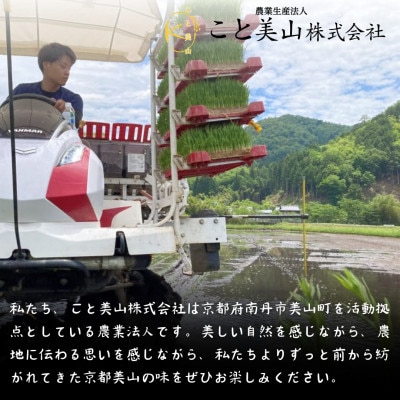 令和7年度産 にじのきらめき 10kg 美山町産 こと美山米 特別栽培米