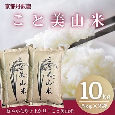 訳あり 令和8年産 こと美山米 10kg 精米 コシヒカリ にじのきらめき