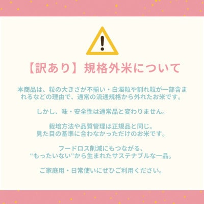 【さとふる限定】訳あり 令和7年産 こと美山米 10kg 精米 コシヒカリ にじのきらめき