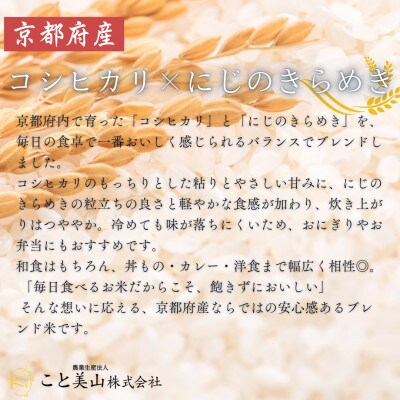 【さとふる限定】訳あり 令和7年産 こと美山米 10kg 精米 コシヒカリ にじのきらめき