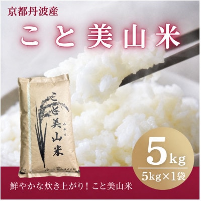 【訳あり】 令和7年産 こと美山米 5kg 精米 コシヒカリ にじのきらめき