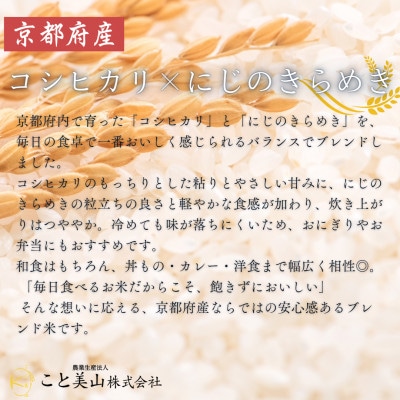 【訳あり】 令和7年産 こと美山米 5kg 精米 コシヒカリ にじのきらめき