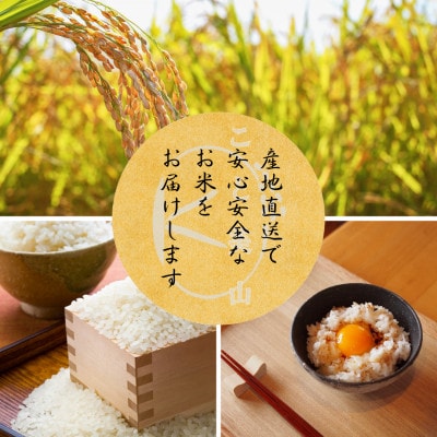 【毎月定期便】にじのきらめき 精米 10kg(5kg×2袋) 美山町産 こと美山米全3回