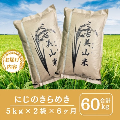 【毎月定期便】にじのきらめき 精米 10kg(5kg×2袋) 美山町産 こと美山米全6回