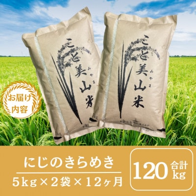【毎月定期便】にじのきらめき 精米 10kg(5kg×2袋)美山町産 こと美山米全12回