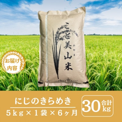 【毎月定期便】にじのきらめき 精米 5kg(5kg×1袋)美山町産 こと美山米全6回