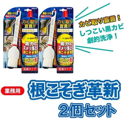 根こそぎ革新×2個セット　カビ取り宣言!しつこい黒カビ劇的洗浄【株式会社宮崎化学】