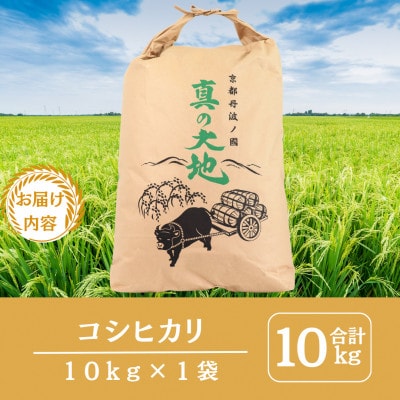 令和7年産 京都丹波産 コシヒカリ 10kg