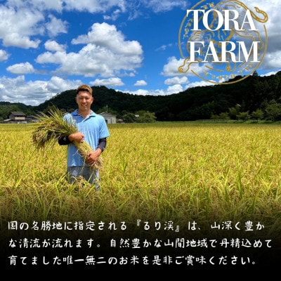 令和7年産 京都丹波産キヌヒカリ(精米)　5kg