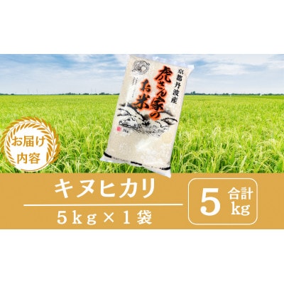 令和7年産 京都丹波産キヌヒカリ(精米)　5kg